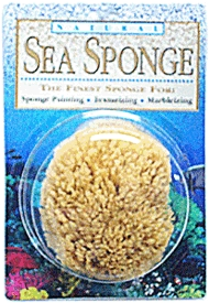 (image for) Sponge Sea 5-6" Natural - Click Image to Close