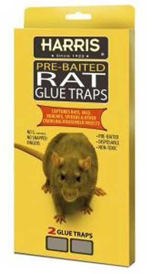 (image for) Rat/Mouse Trap Glue 2 Pack - Click Image to Close
