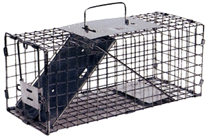 (image for) Squirrel Trap Havahart - Click Image to Close