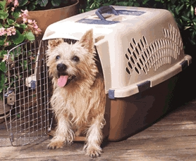 (image for) Pet Carrier Med/Lg - Click Image to Close