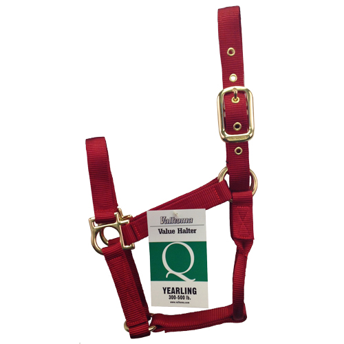 (image for) Halter Yearling Q Red - Click Image to Close
