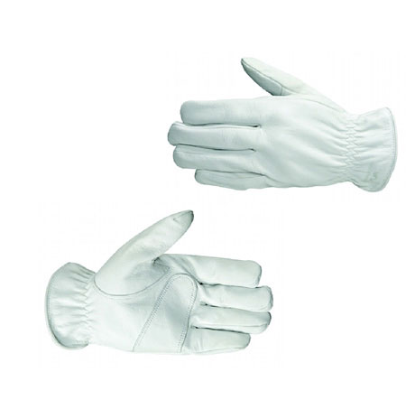 (image for) Gloves Goatskin Driver Large - Click Image to Close