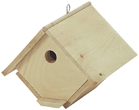 (image for) Bird House Wren - Click Image to Close