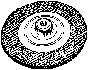 (image for) Grinding Disc 7x1/4x5/8-11