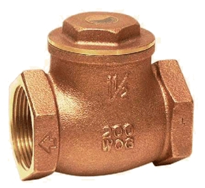 (image for) Check Valve 2" Ips Swing