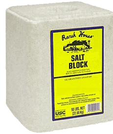 (image for) Salt Block 50# Plain