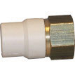 (image for) Fittings: Adapters, Cpvc