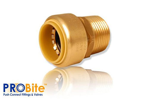 (image for) Adapt Brass Push 3/4x1/2mip Lf