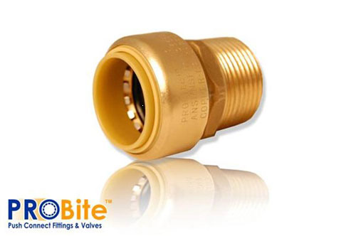 (image for) Adapt. Brass 3/4pushx3/4mip Lf