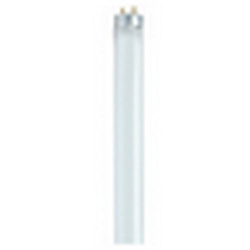 (image for) Fluorescent Lamps: Residential