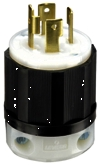 (image for) Locking Plug 30a 125/250v