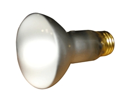 (image for) Floodlamp 45w R20 Reflector
