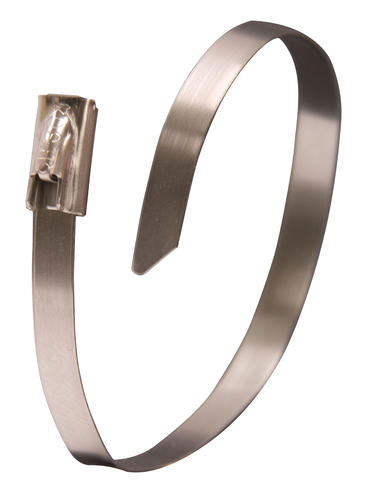 (image for) Cable Tie 6"ss 100lb 10/Bg