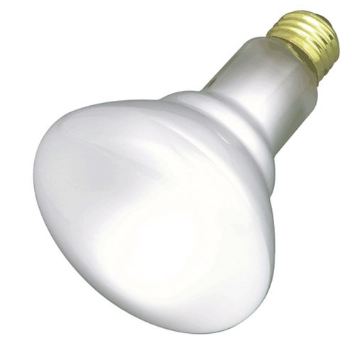 (image for) Floodlamp 65 Br30 Flood 2-Pk