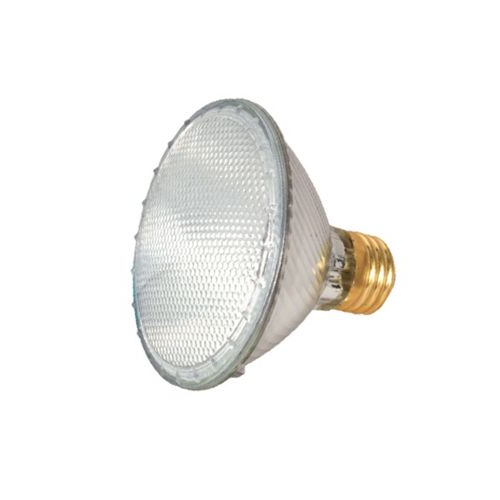 (image for) Halogen Fldlamp 60w Shrt Par30