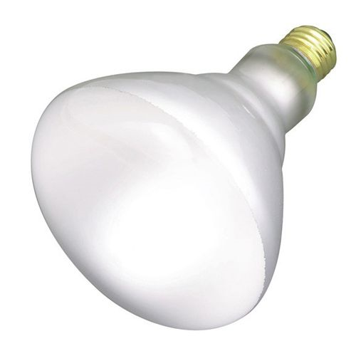 (image for) Spotlamp 65w Reflector Br40