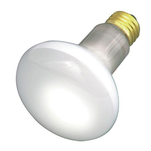 (image for) Floodlamp 30w R20 Reflector