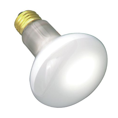 (image for) Spotlamp 45w Reflector E