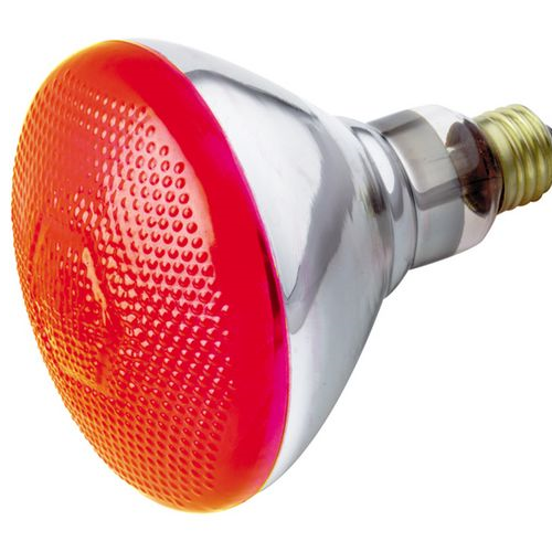 (image for) Floodlamp 100w Par Red