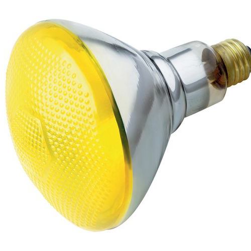(image for) Light Bulbs: Bug Lamps