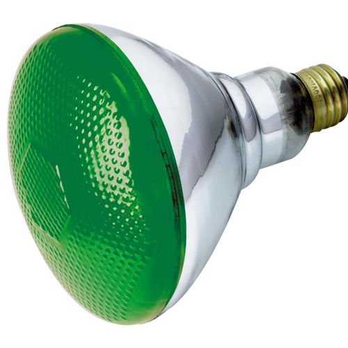 (image for) Floodlamp 100w Par Green