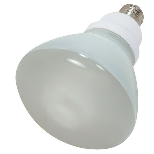 (image for) Floodlamp Cfl 23w R40 Soft Wht