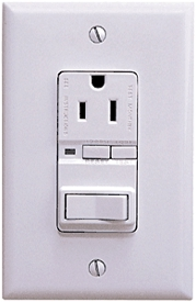 (image for) Switches: Toggle, Receptacle Combination