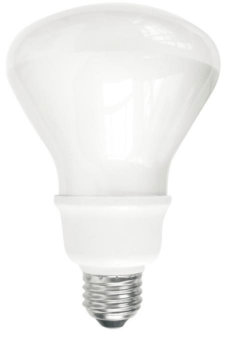 (image for) Floodlamp Cfl 15w R30 S/W 2pk