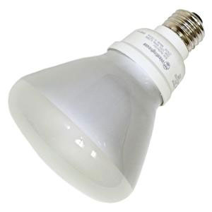 (image for) Floodlamp Cfl 15w