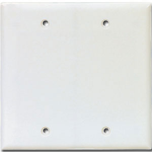 (image for) Plate 2-Gang Blank White