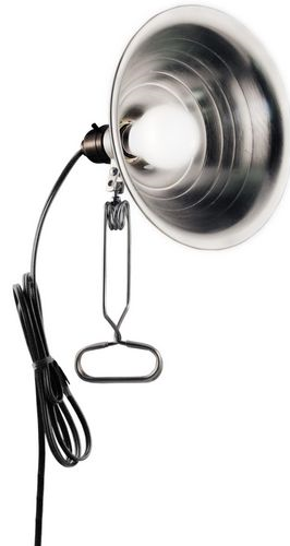 (image for) Clamp Light W/8"reflector