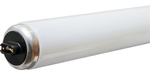 (image for) Lamp 60w 48" Ho Fluorescent