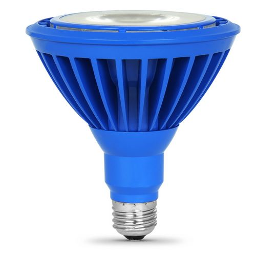 (image for) Bulb Led Par38 Reflector Blue