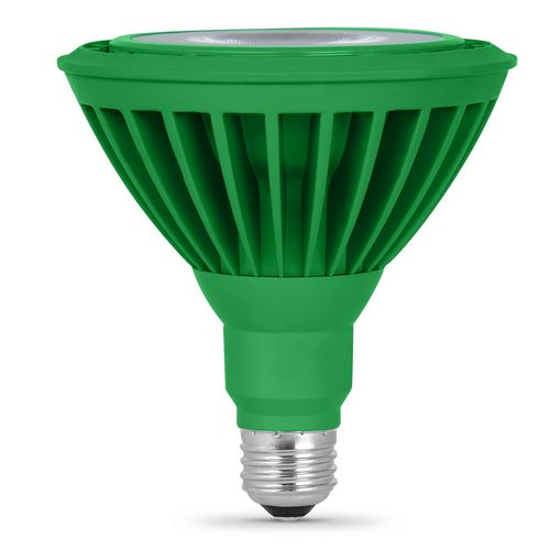 (image for) Bulb Led Par38 Reflector Green