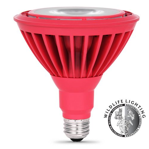 (image for) Bulb Led Par38 Reflector Red