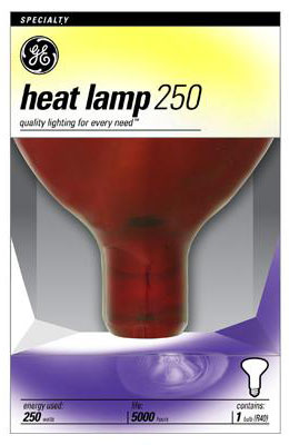 (image for) Heat Lamp 250w Red Bowl