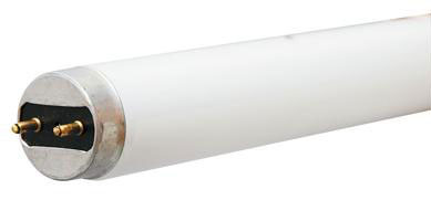 (image for) Fluorescent Lamps: Appliance