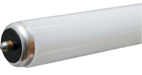 (image for) Fluorescent Lamps: Commercial
