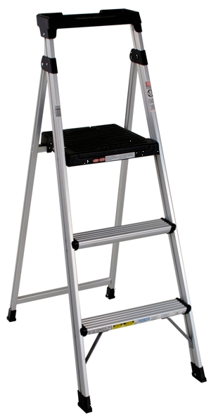 (image for) Ladder Lite Weight 5'