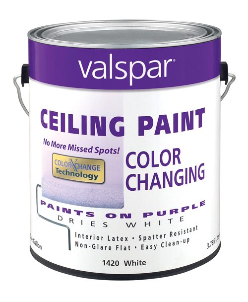 (image for) Paint Ceiling Color Changing