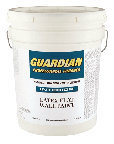 (image for) Paint Guard Pro Int Fl Tint 5g