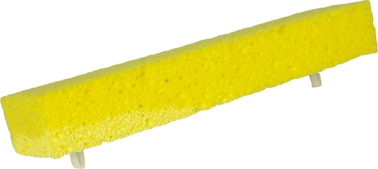 (image for) Mops: Sponge