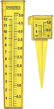 (image for) Rain Gauge 2-1n-1