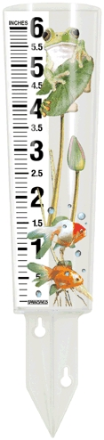 (image for) Rain Gauge Frog Magnify