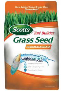 (image for) Seed 1lb Scotts Bermuda Grass