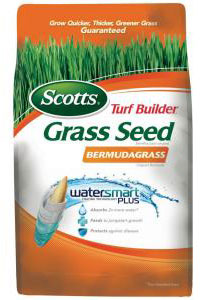 (image for) Seeds: Grass, Lawn