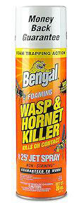 (image for) Insecticide Foam Wasp&Hornet