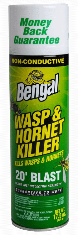 (image for) Insecticide Wasp/Hornet 15oz