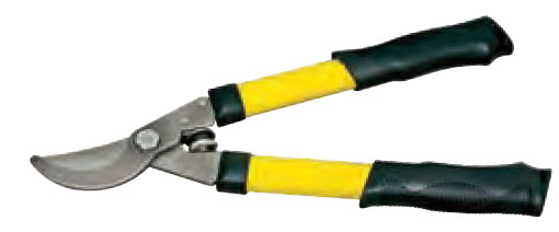 (image for) Shears; Lopping