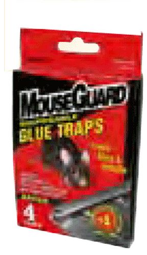 (image for) Mouse Trap Glue 4-Pack 72/Ds